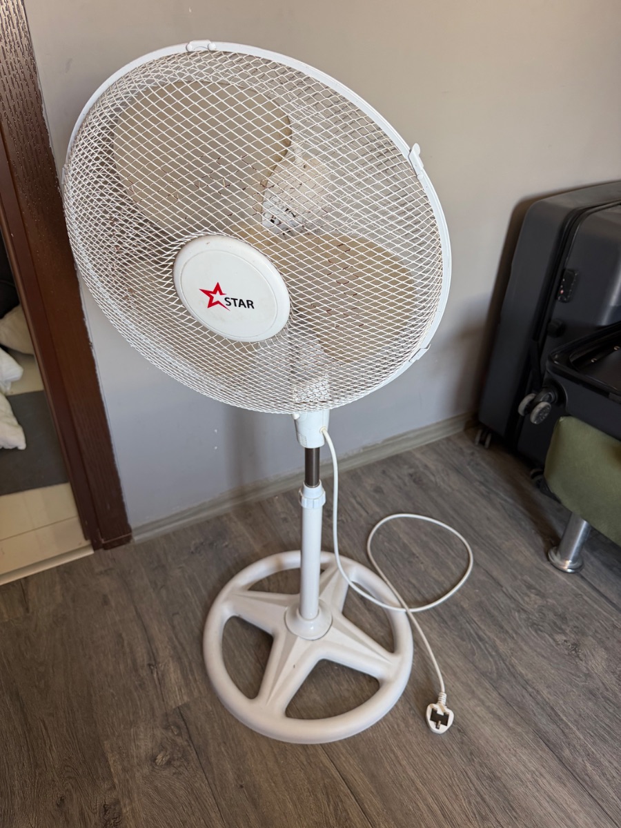 Fan