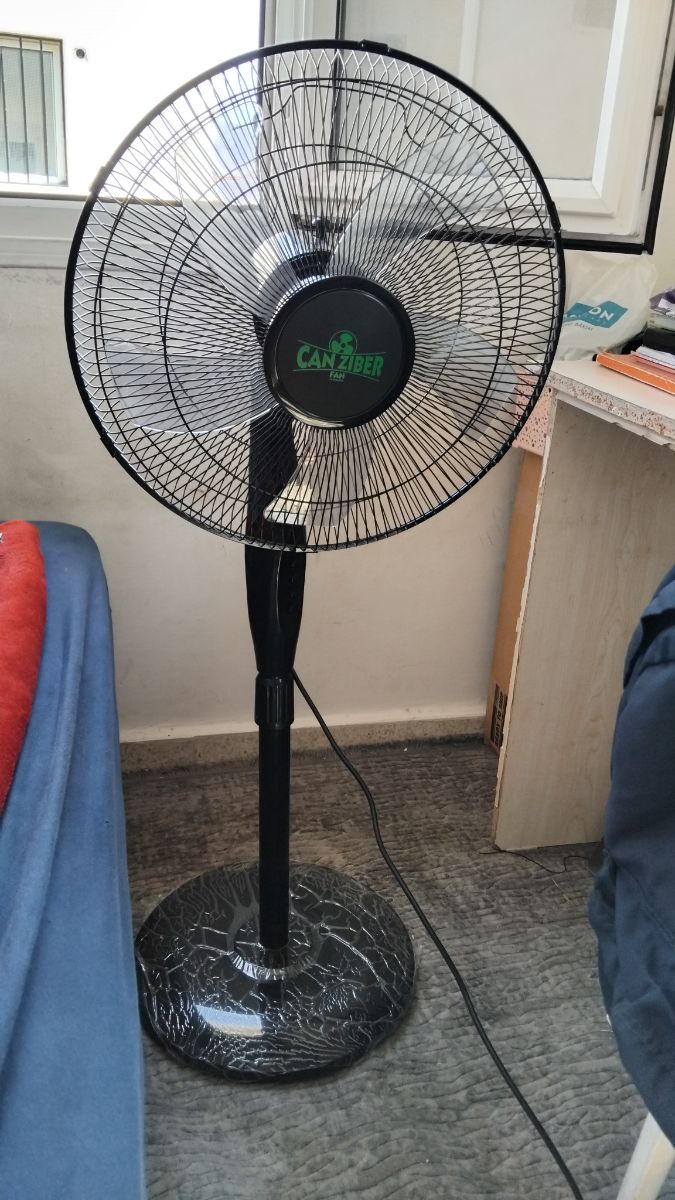 Fan